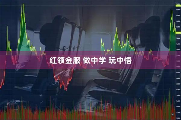 红领金服 做中学 玩中悟