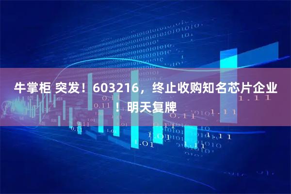 牛掌柜 突发！603216，终止收购知名芯片企业！明天复牌
