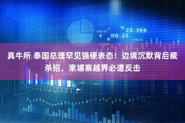 真牛所 泰国总理罕见强硬表态！边境沉默背后藏杀招，柬埔寨越界必遭反击