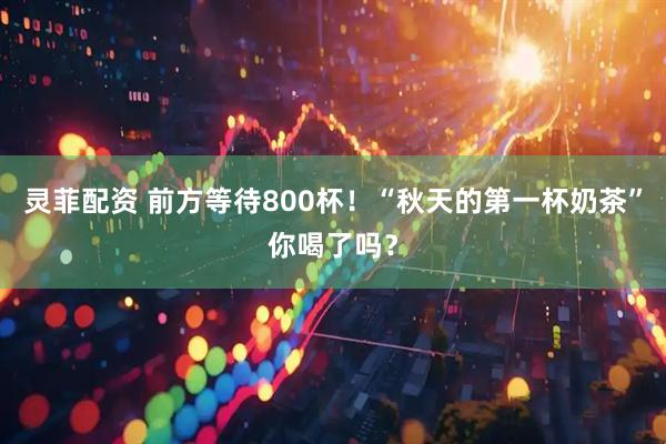 灵菲配资 前方等待800杯！“秋天的第一杯奶茶”你喝了吗？